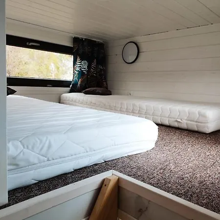 Sunny Camp * Jerzmanowice